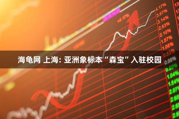 海龟网 上海: 亚洲象标本“森宝”入驻校园