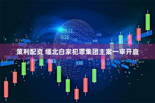 策利配资 缅北白家犯罪集团主案一审开庭